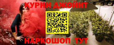 тгк Обь