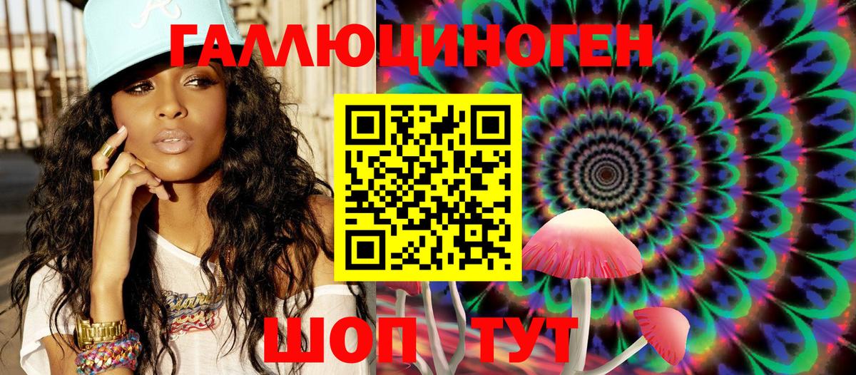 Псилоцибиновые грибы Cubensis Урус-Мартан