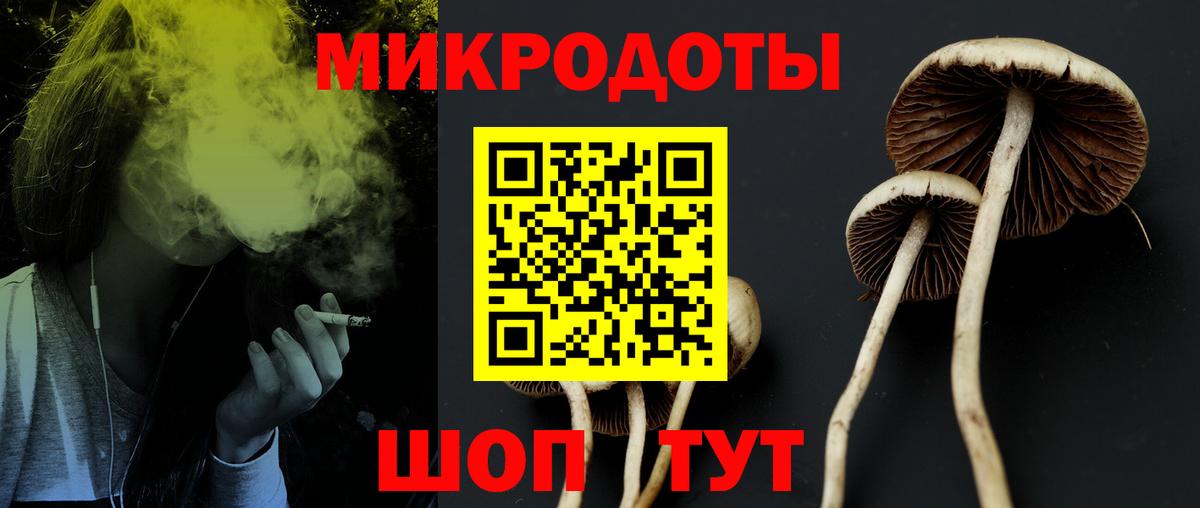 Урус-Мартан  Галлюциногенные грибы ЛСД  где купить наркоту  Вход с VPN  Галлюциногенные грибы GOLDEN TEACHER 